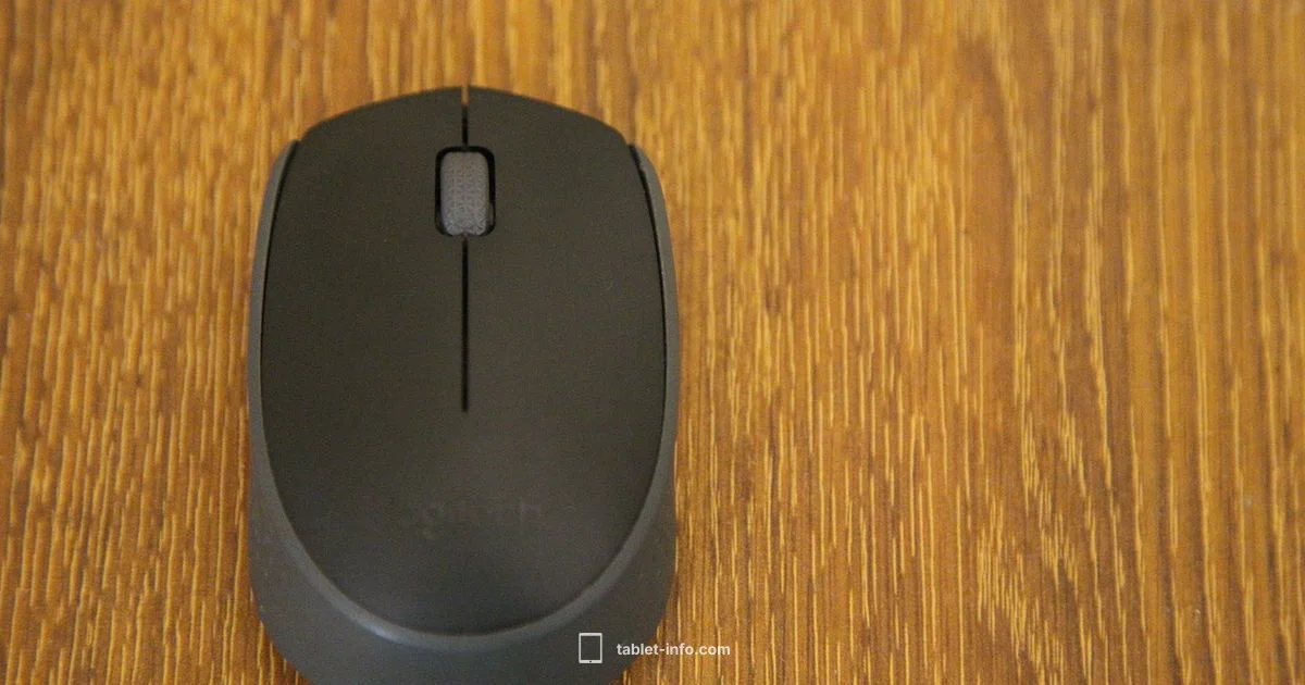 Cursor Setup - Tablet Info