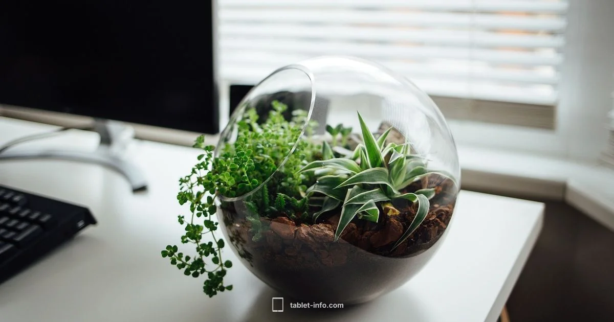 iPad Battery Life - Tablet Info