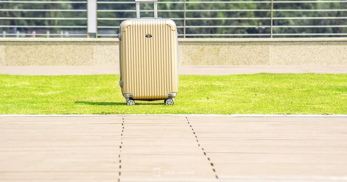 iPad Travel Safety - Tablet Info