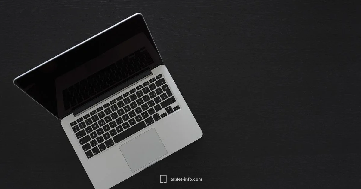 Cursor iPad Guide - Tablet Info