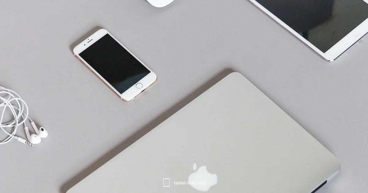 Apple iPad Guide - Tablet Info