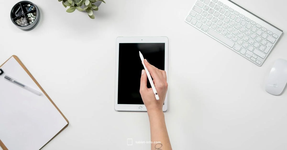 Magic Trackpad 2 on iPad Pro - Tablet Info