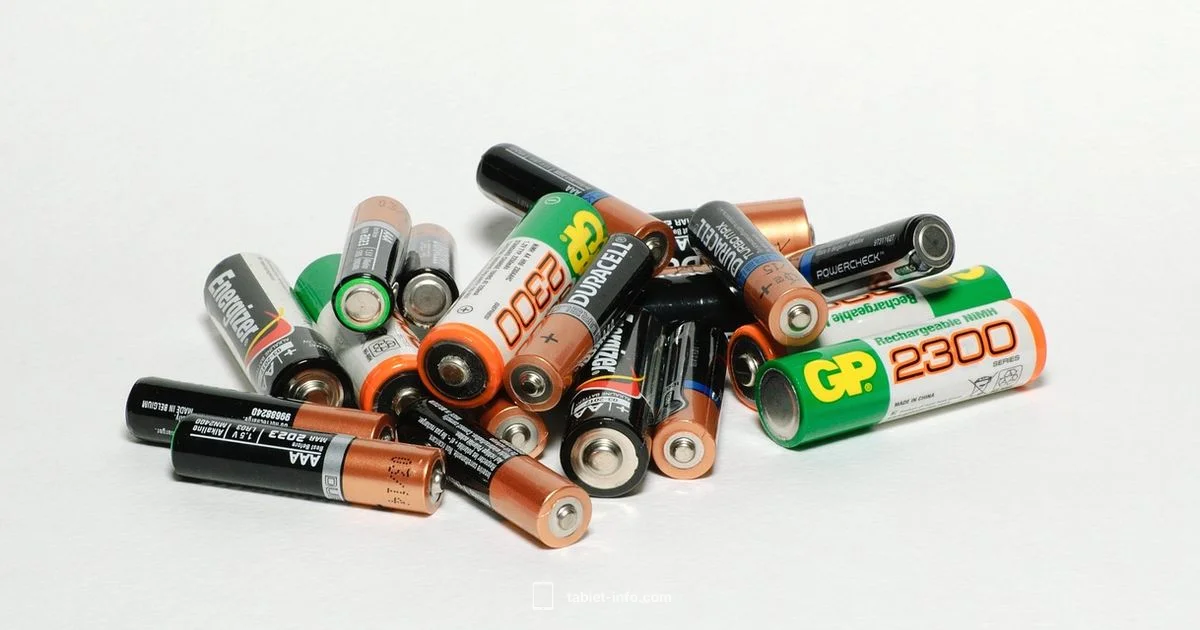 iPad Battery Guide - Tablet Info