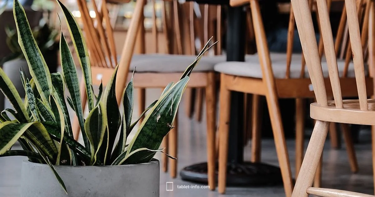 iPad Sale Timing iPad Sale Timing - Tablet Info