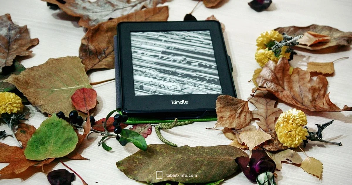 iPad vs Kindle Reading - Tablet Info