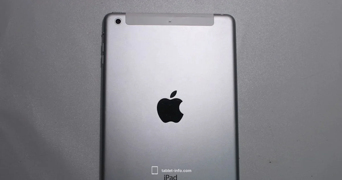iPad 9th Gen Size - Tablet Info