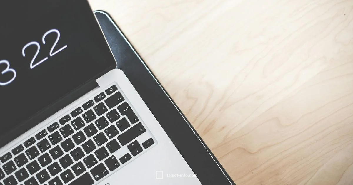 Mini vs. Standard iPad - Tablet Info