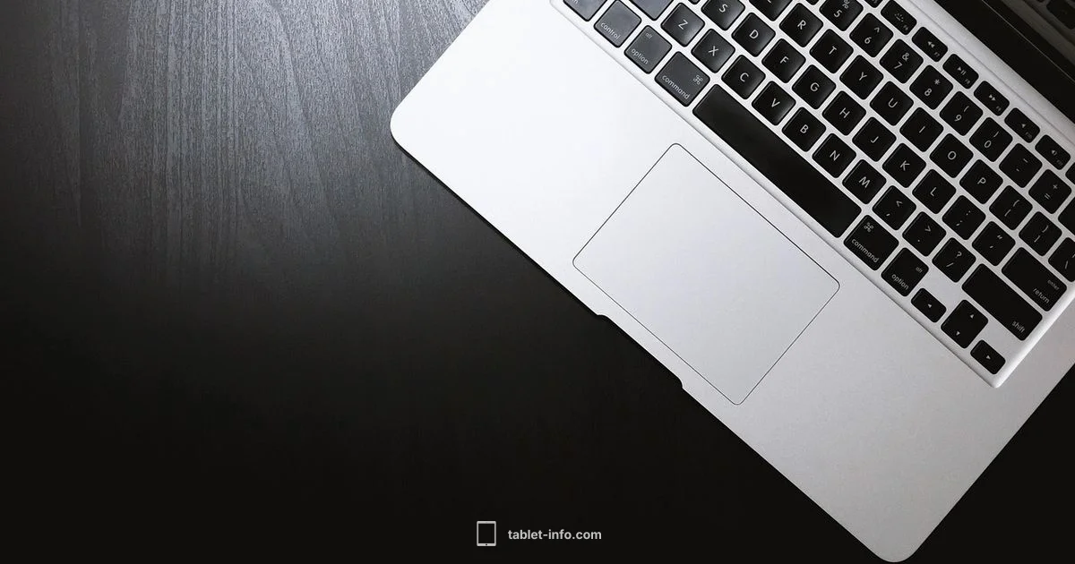 iPad and iPhone Overview - Tablet Info