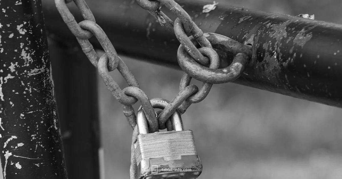 Lock iPad Screen Touch Lock iPad Screen Touch - Tablet Info