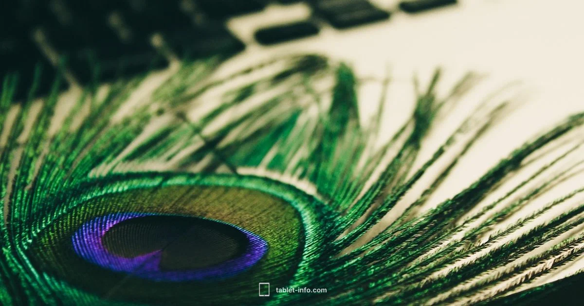 iPad Pro Keypad Guide - Tablet Info