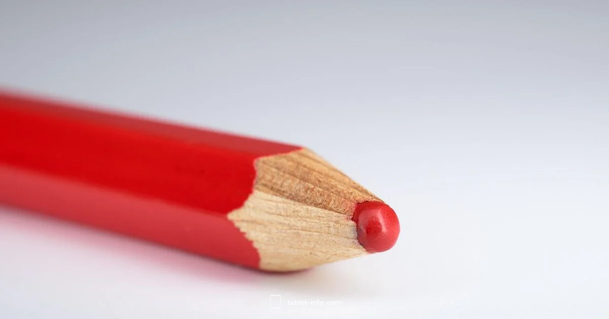 Best iPad for ZBrush - Tablet Info