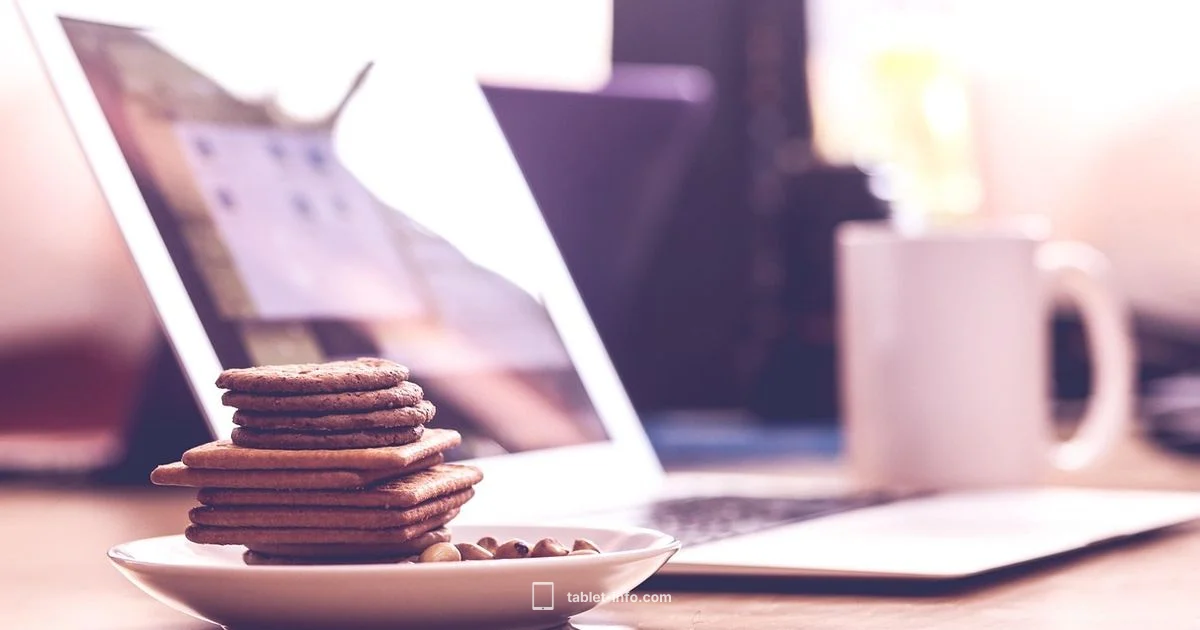 Refurbished iPad mini Guide - Tablet Info