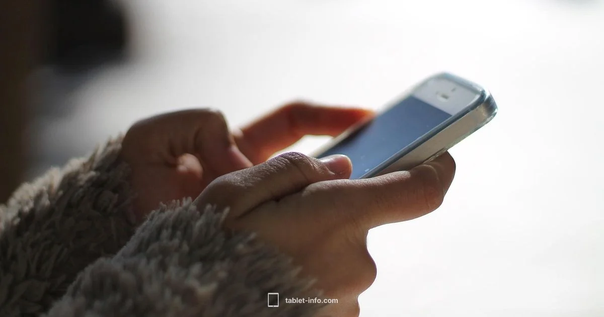 WhatsApp on iPad - Tablet Info