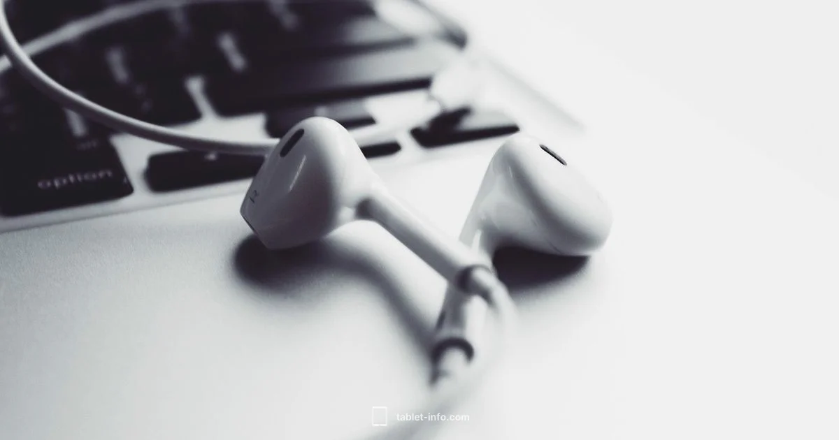 iPad Pro Sizes - Tablet Info