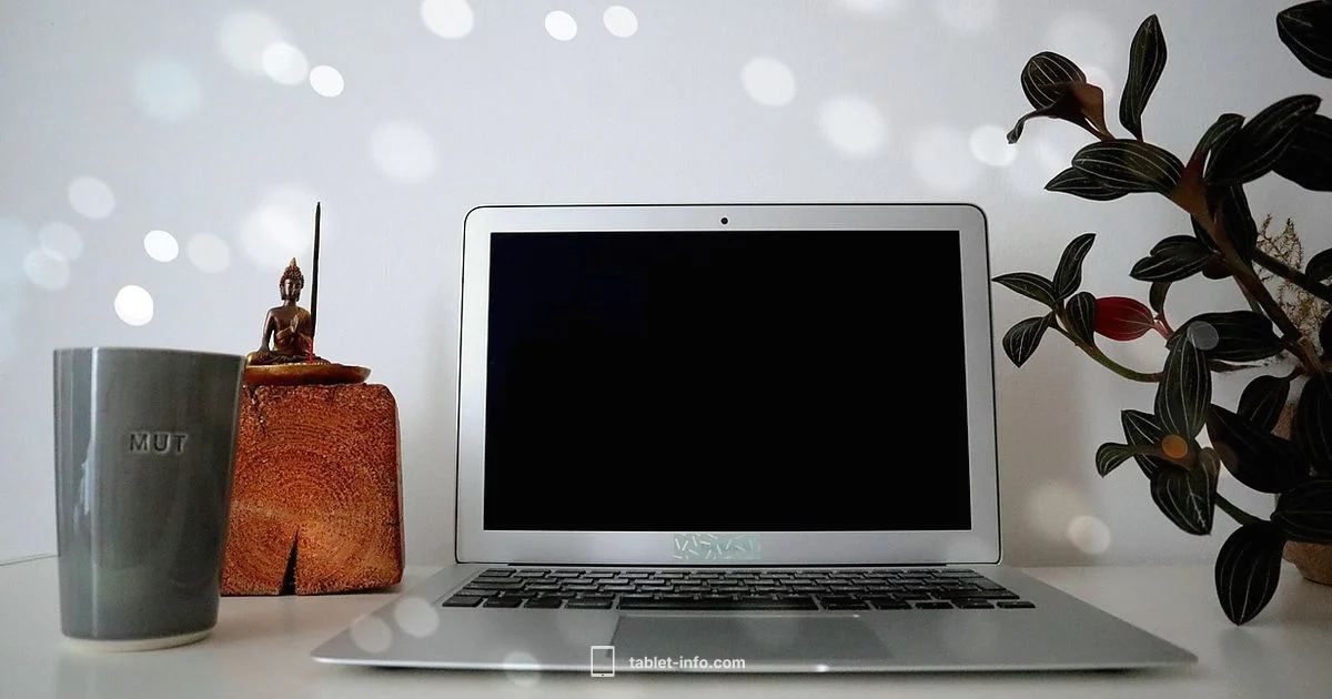 iPad Value Guide - Tablet Info