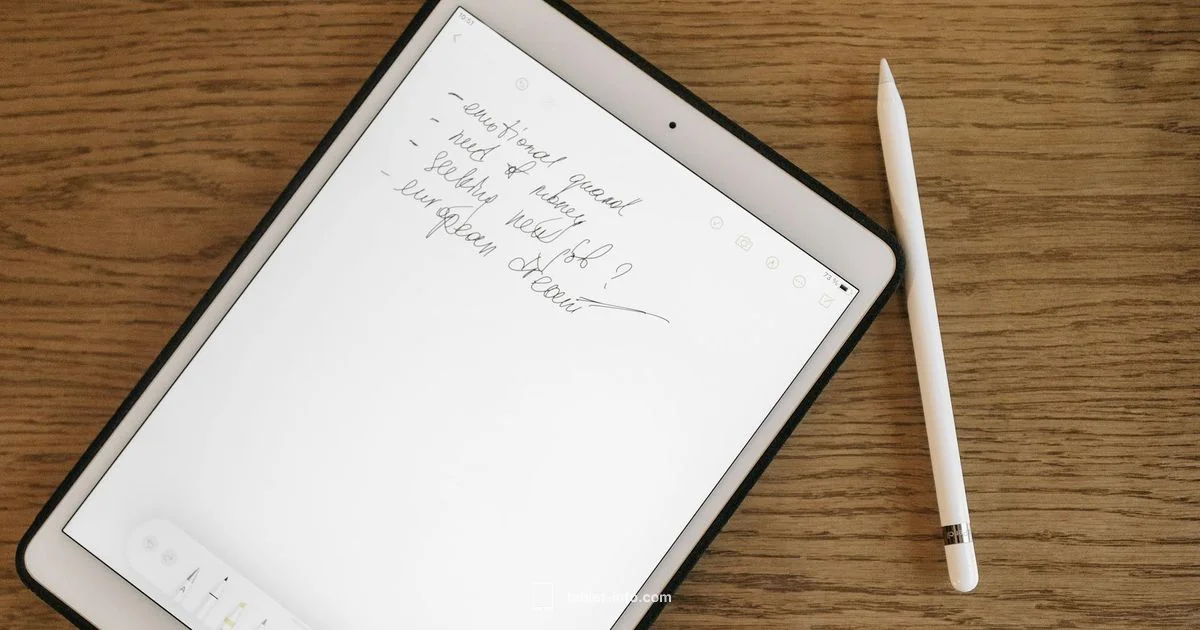 iPad Touch Issues - Tablet Info