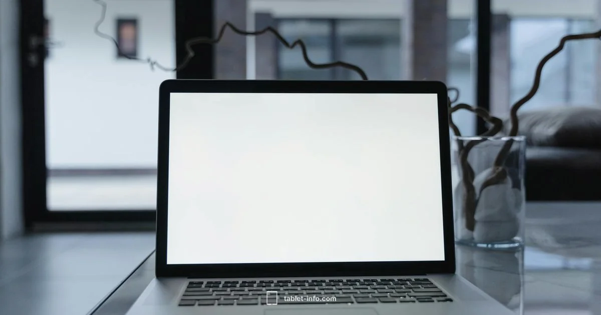 iPad 10th Gen Screen Protector - Tablet Info