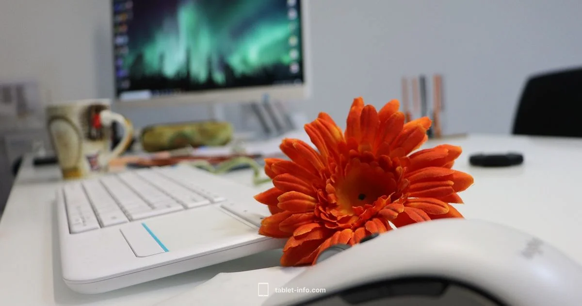 iPad Uses Guide - Tablet Info