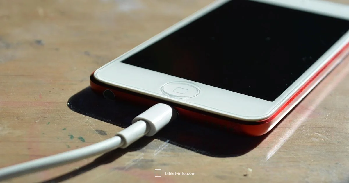 iPad Unavailable Fix - Tablet Info