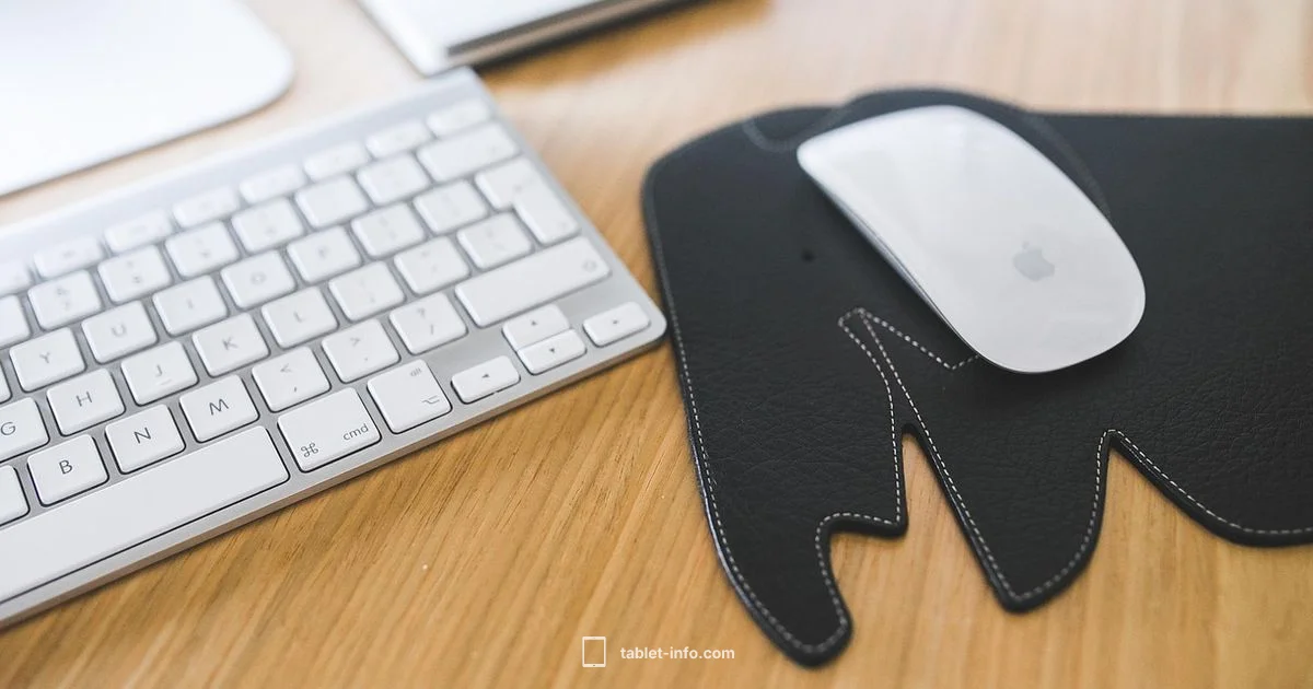 iPad Wireless Charge - Tablet Info