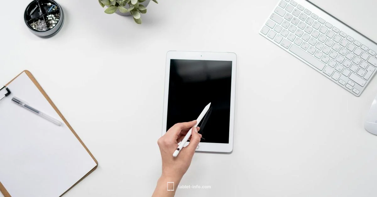 iPad Speed Guide - Tablet Info