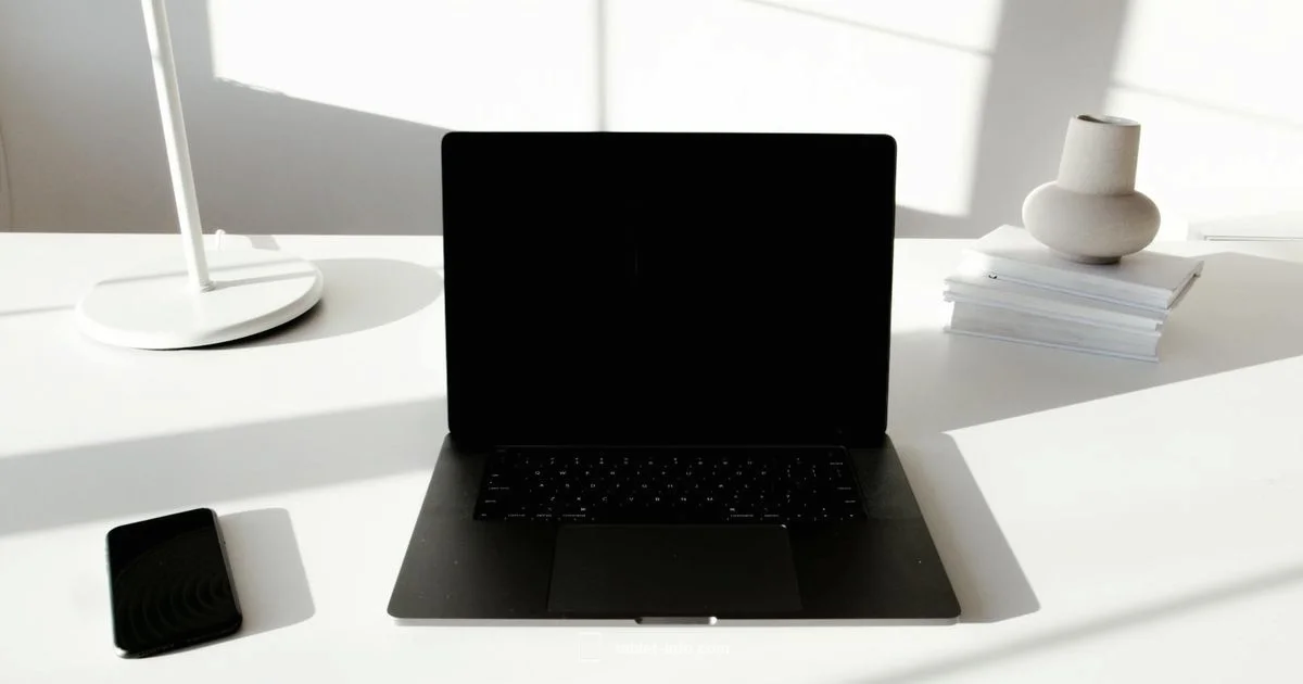 Used iPad Buying - Tablet Info