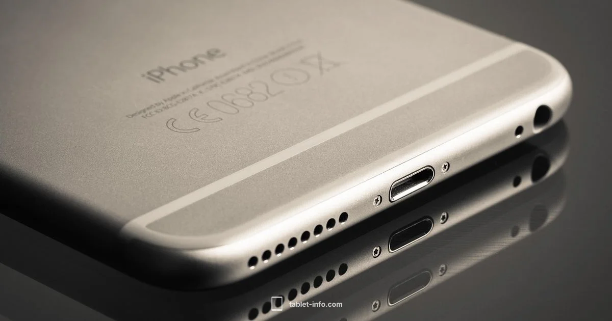 Lightning era iPads Lightning era iPads - Tablet Info