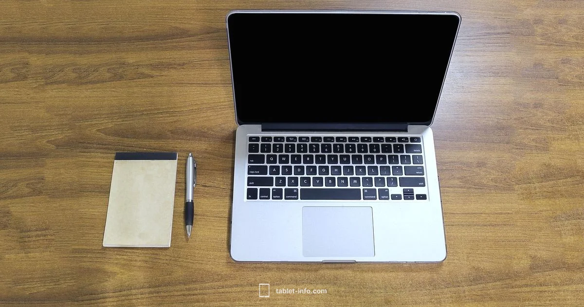 Blue iPad Guide - Tablet Info