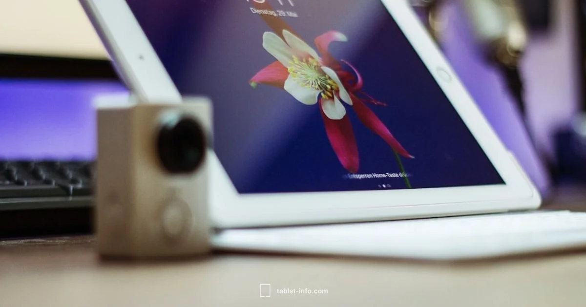 iPad Serial Lookup - Tablet Info