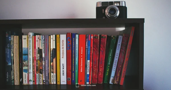 Budget iPad Case - Tablet Info