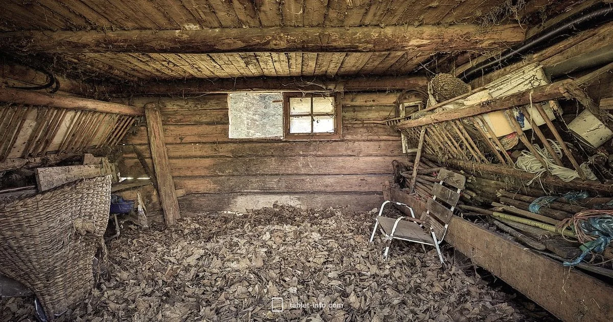 Old iPad mini - Tablet Info