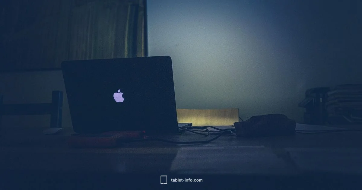 Unlocking a Disabled iPad - Tablet Info