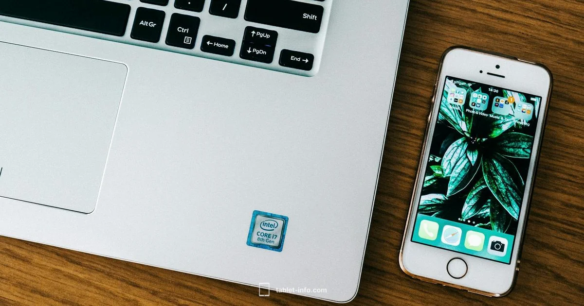 Phone Numbers on iPad - Tablet Info