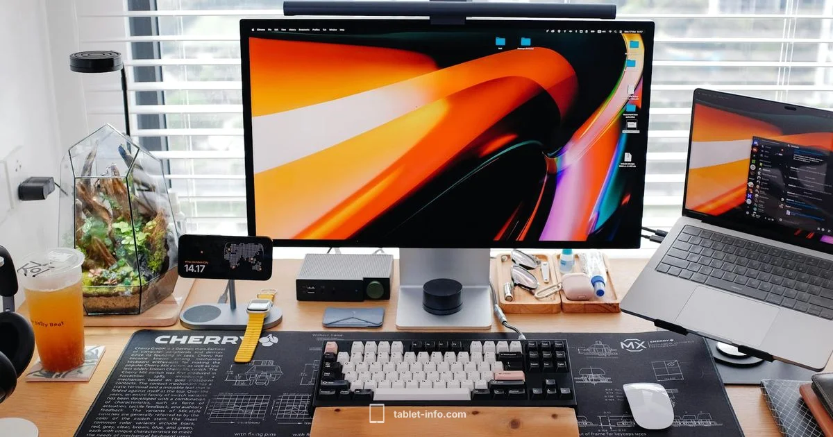 External Monitor Setup External Monitor Setup - Tablet Info