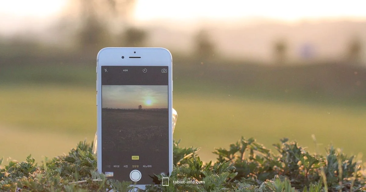 iPad Calls Guide - Tablet Info