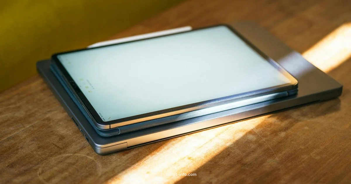 Swollen iPad Battery Swollen iPad Battery - Tablet Info