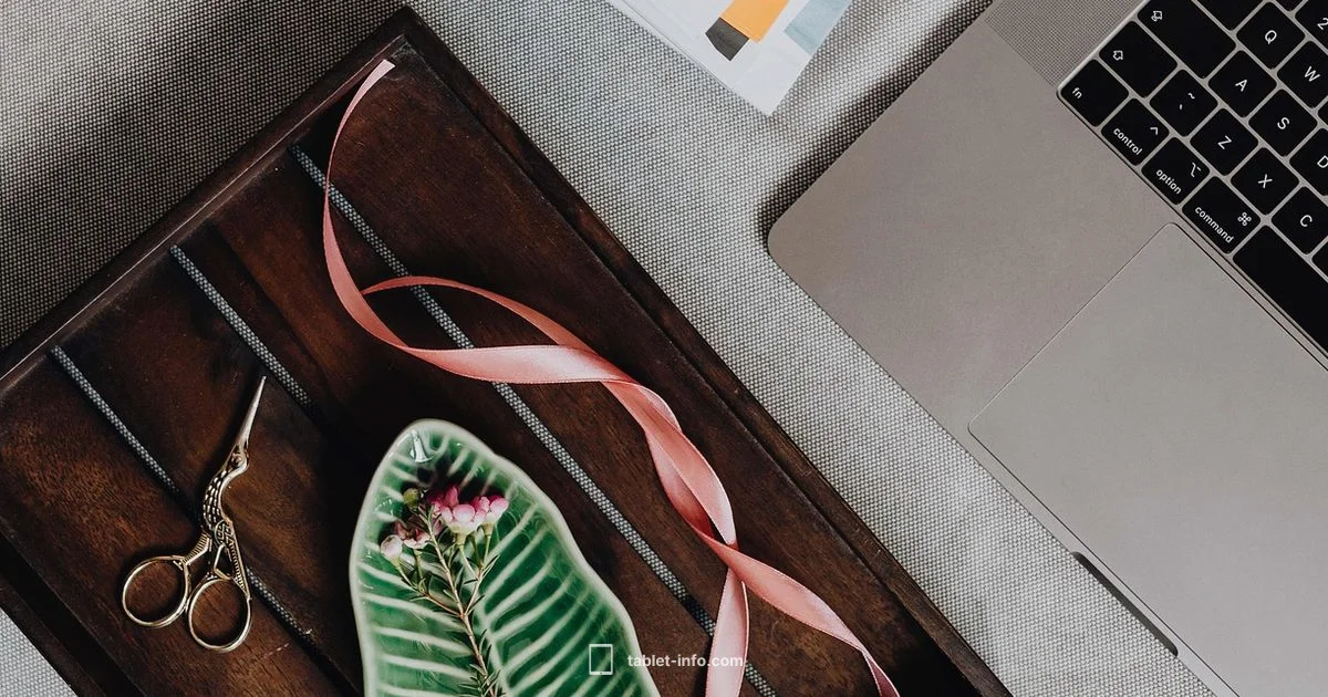 Second Screen with iPad - Tablet Info