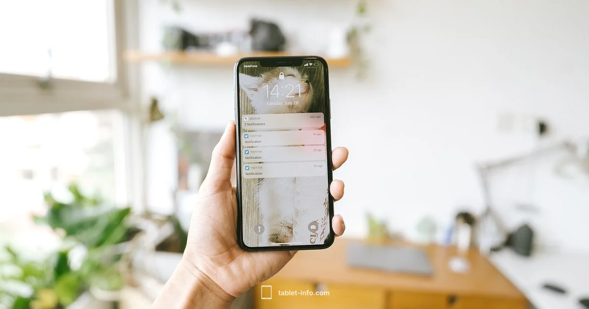 Update and Speed - Tablet Info