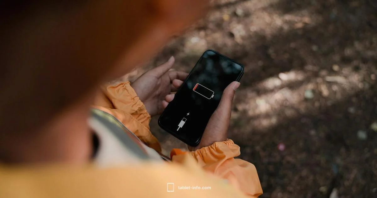 iPad Pro Battery Reality - Tablet Info