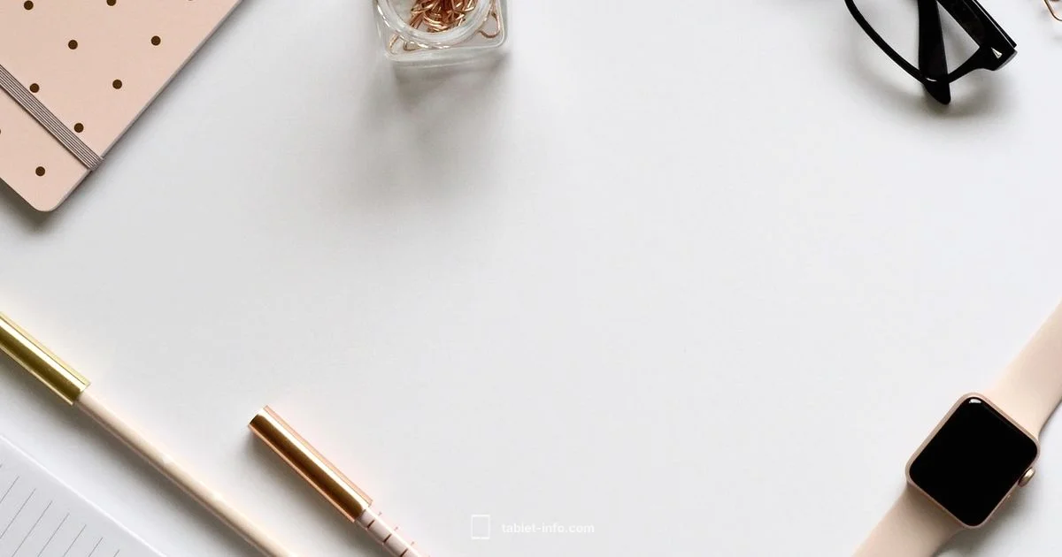 Which iPad to Get Quiz Which iPad to Get Quiz - Tablet Info