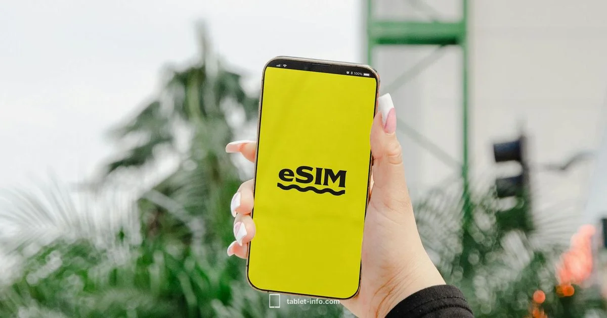 iPad eSIM Guide - Tablet Info