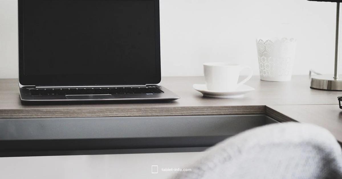 WiFi & Cellular Connectivity - Tablet Info