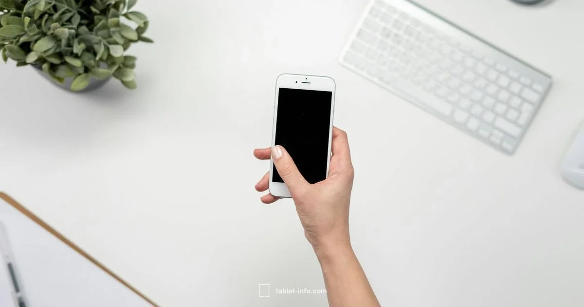 Resetting a Disabled iPad - Tablet Info