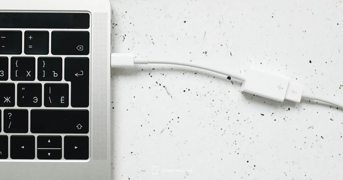 iPad Cable Guide - Tablet Info