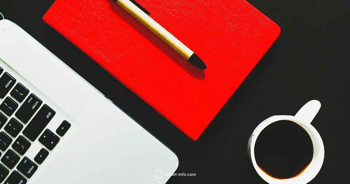 Top iPad Gear - Tablet Info