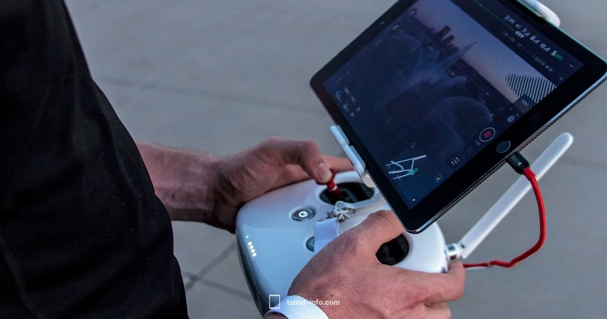 Procreate on iPad Cost - Tablet Info