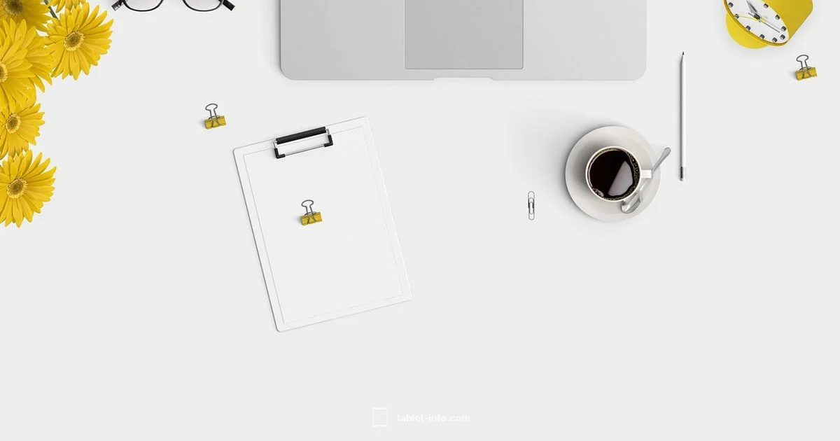 MacBook + iPad Duo - Tablet Info