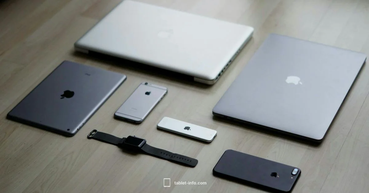 2026 iPad Outlook - Tablet Info