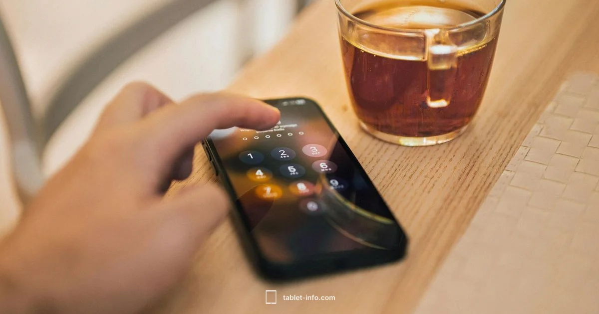 Disabled iPad Unlock - Tablet Info