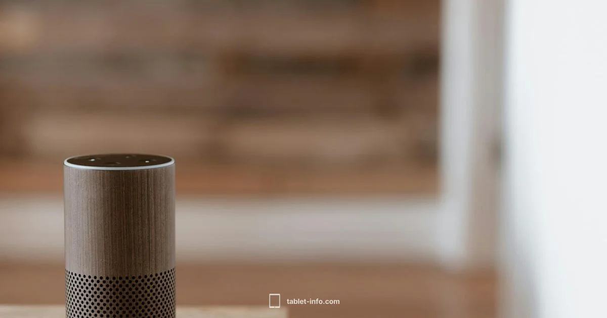 iPad Sound Fix iPad Sound Fix - Tablet Info